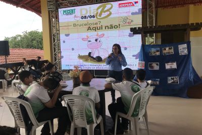notícia: Ações educativas, vacinação e visitas a laticínios integram o Dia 'B' da Brucelose no Pará