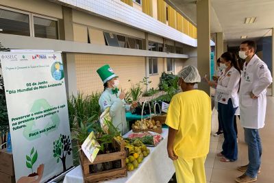 notícia: Hospital Regional Público do Araguaia promove ação ambiental com doação de mudas