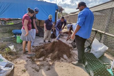 notícia: Servidores aprendem a fazer viveiros de mudas agroflorestais em Santa Maria das Barreiras
