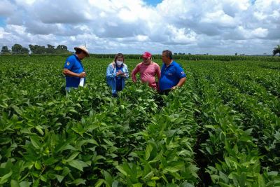 notícia: Agrônomos têm papel fundamental no desenvolvimento do agronegócio no Pará