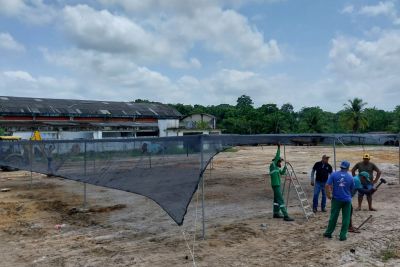 notícia: Ideflor-Bio instala viveiros de mudas agroflorestais em Mocajuba e Moju