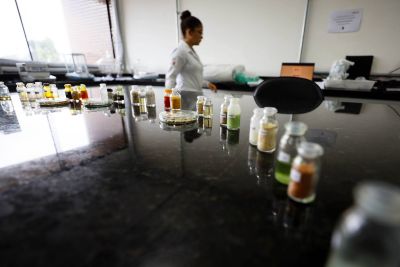 notícia: Com investimento do Governo, laboratório pode transformar frutos da Amazônia 