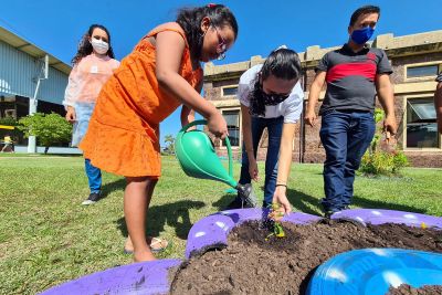 notícia: CIIR intensifica ações de sustentabilidade e a cultura da preservação ambiental