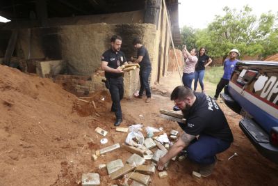 notícia: Polícia Civil incinera 130 kg de drogas, em Marabá