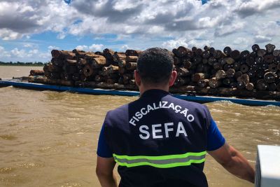 notícia: Secretaria da Fazenda apreende 126,6 metros cúbicos de madeira em tora em Óbidos 