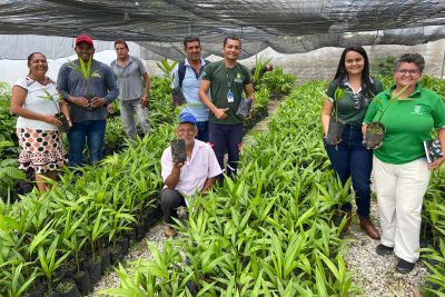 notícia: Ideflor-Bio dá palestra de incentivo à Recomposição Florestal, para produtores 