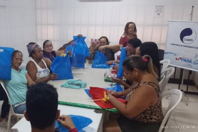 notícia: Cosanpa oferece oficina de arranjos natalinos em Belém