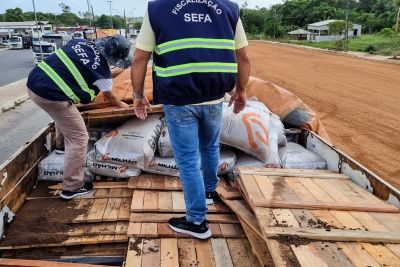 notícia: Secretaria da Fazenda do Pará apreende 30 m³ de madeira serrada em Cachoeira do Piriá  