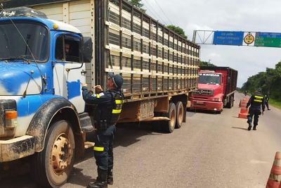 notícia: Quinta fase da Operação Euterpe registra prisões, apreensões e abordagens no Baixo Tocantins