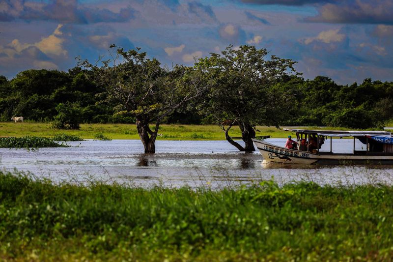  <div class='credito_fotos'>Foto: Agência Pará   |   <a href='/midias/2023/originais/17953_2e625b2b-03f7-4e81-4259-e39d3d75d85e.jpg' download><i class='fa-solid fa-download'></i> Download</a></div>