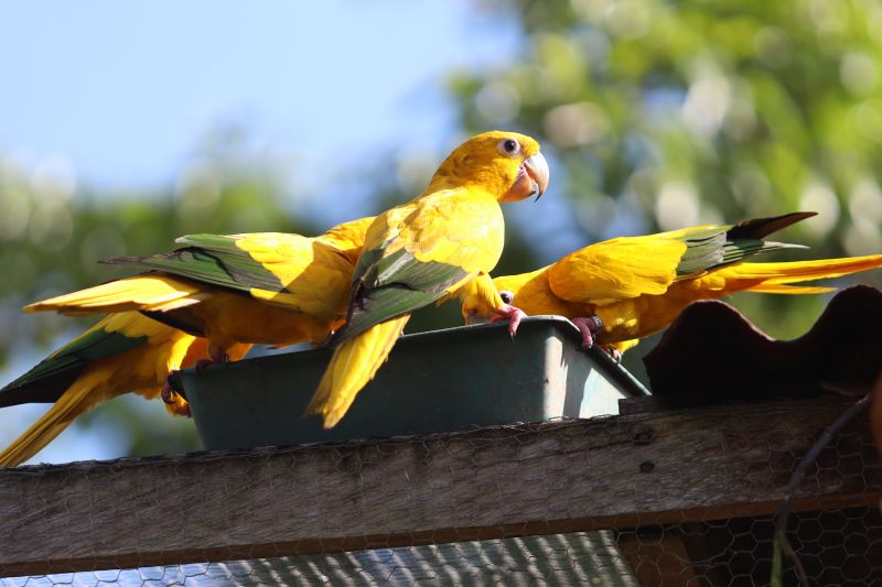  <div class='credito_fotos'>Foto: Agência Pará   |   <a href='/midias/2023/originais/17953_3d285a83-baf7-6049-aeb8-2ef5d178b93e.jpg' download><i class='fa-solid fa-download'></i> Download</a></div>