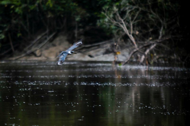  <div class='credito_fotos'>Foto: Agência Pará   |   <a href='/midias/2023/originais/17953_a96797a7-71b2-ee51-018f-4b9b5324b552.jpg' download><i class='fa-solid fa-download'></i> Download</a></div>