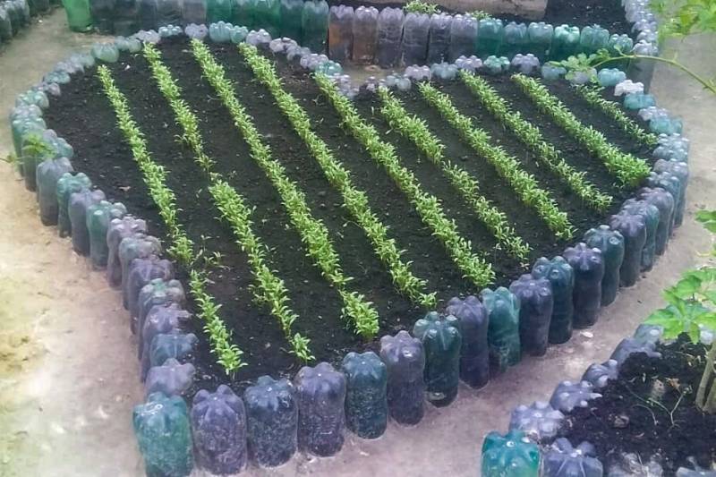 Projeto da Horta Terapêutica utiliza estruturas de material reciclado, à base de garrafas pet