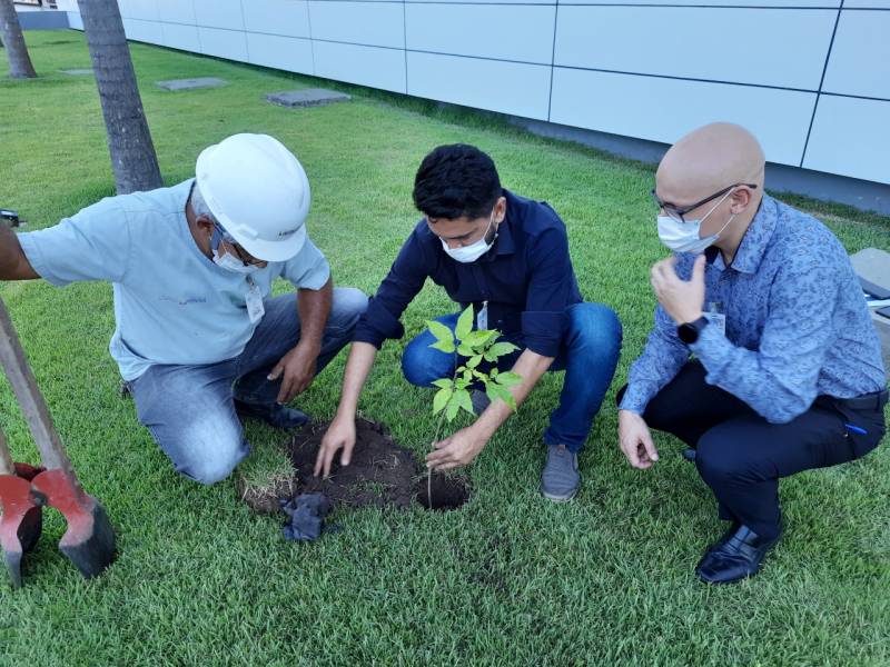 MEMBROS COMISSÃO DE SUSTENTABILIDADE DO REGIONAL DOS CAET´S PLANTAM ÁRVORES NA ÁREA ARBORIZADA DO HOSPITAL