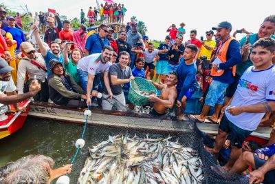 notícia: Após quatro meses de defeso, pesca do Mapará é liberada em Cametá