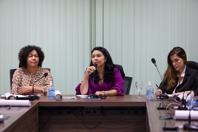 galeria: Reunião com a Secretária do Estado das Mulheres e Secretária Nacional de Articulação do Ministério das Mulheres Carmem Foro