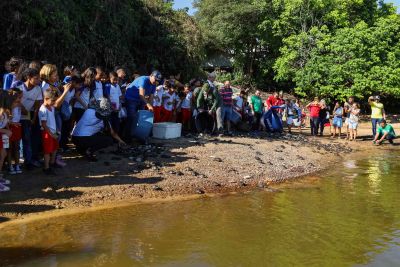 notícia: Seis mil quelônios são soltos no Rio Araguaia pelo Ideflor-Bio e Instituto Ambiental Xambioá