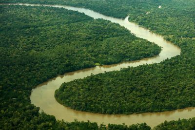 notícia: Estado avança com Planos de Manejo das Unidades de Conservação do Pará 