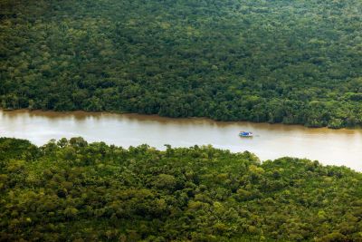 notícia: No Dia da Árvore, Governo do Pará reafirma compromisso com a preservação das florestas