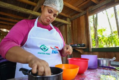 notícia: Emater fortalece parcerias com prefeituras e Basa para impulsionar microcrédito rural