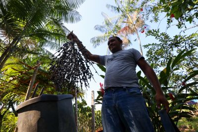 notícia: Governo do Pará impulsiona acesso da agricultura familiar a crédito rural em Belém 