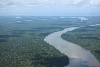 notícia: Conselho Nacional do MP suspende recomendação de anulação de contrato de captação de recursos de REDD+