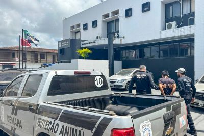notícia: Polícia Civil do Pará prende homem em flagrante por maus tratos a animais