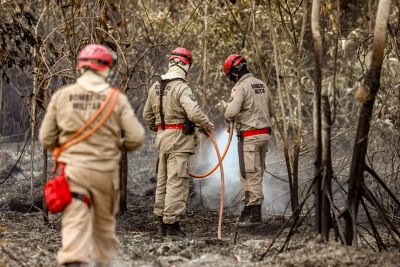 notícia: Trabalho estratégico e integrado auxilia no combate a incêndios florestais e desmatamento ilegal no Pará