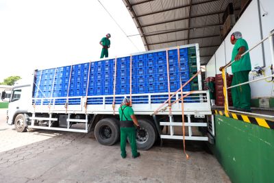 notícia: Pará exporta mais de 61 mil toneladas de açaí por ano, aponta Fapespa