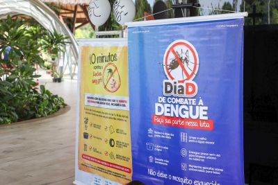 notícia: Pará tem redução de incidência de dengue, zika e febre amarela em 2023