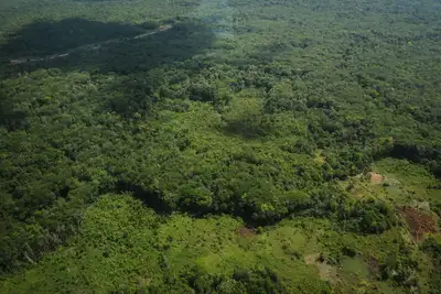 notícia: Pará reduz em mais de 90% os focos de incêndio florestal em agosto de 2025