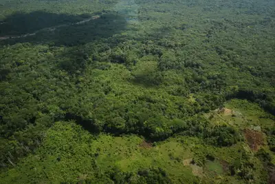 notícia: Pará registra queda histórica de 85% nos focos de queimadas entre julho e setembro de 2025