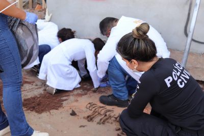 notícia: Polícias civil e científica realizam exumação para investigar morte de cães no bairro da Terra Firme, em Belém