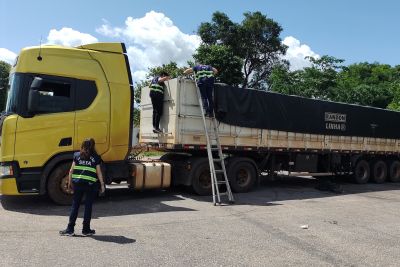 notícia: Fiscais da Sefa apreendem 31 toneladas de minério de cobre em Conceição do Araguaia