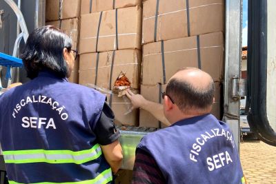 notícia: Sefa autua carga de 17 toneladas de camarão em Dom Eliseu