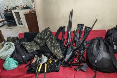 notícia: Polícia Civil desarticula esconderijo e apreende armas no nordeste do Pará