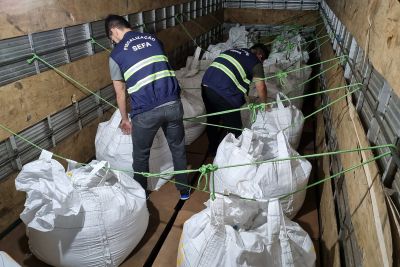 notícia: Sefa apreende 20 toneladas de cassiterita em Dom Eliseu