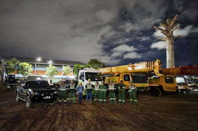 notícia: Árvore histórica é transplantada das obras do novo Hospital Regional de Tucuruí