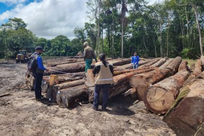 notícia: Forças de segurança apreendem madeira irregular e prendem quatro pessoas no Marajó