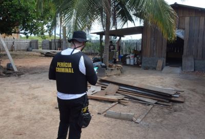 notícia: Equipe da perícia ambiental subsidia trabalhos na Operação Curupira