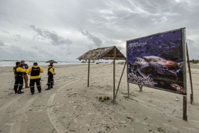 notícia: Forças de segurança estabelecem zona de exclusão para proteger tartarugas na Praia do Atalaia