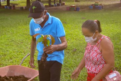 notícia: Paciente agradece assistência com plantio de mangueira no Regional do Baixo Amazonas 