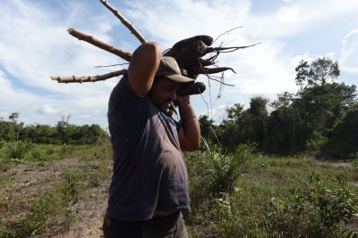 notícia: Produtoras rurais dividem experiências e conquistas da vida no campo, no Pará