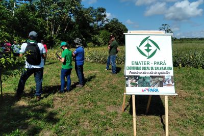 notícia: Quilombolas comemoram aniversário de Salvaterra com incentivo da Emater para turismo rural e merenda escolar