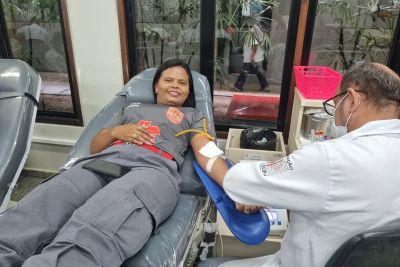 notícia: Fundação Hemopa inicia a semana com mais de 800  bolsas de sangue no estoque