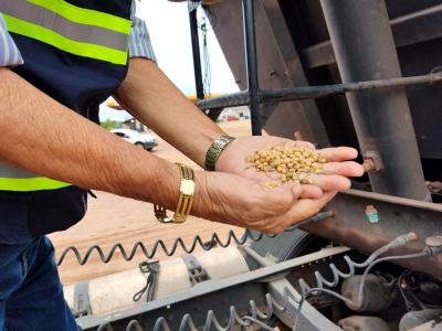 notícia: Sefa apreende mais de 48 mil kg de soja em grãos em São Geraldo do Araguaia