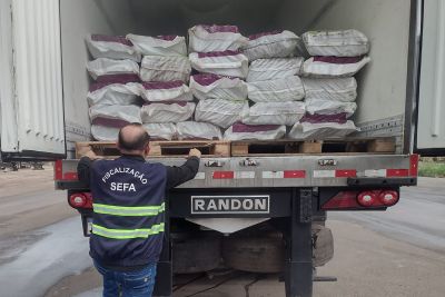notícia: Sefa apreende 30 toneladas de gergelim e quatro toneladas de açaí em Dom Eliseu  