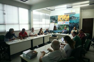 notícia: Funcacau aprova projetos sustentáveis para a cacauicultura no Pará