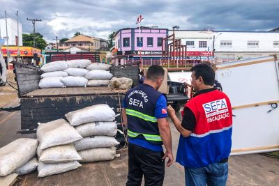 notícia: Sefa apreende na Transamazônica 32 toneladas de ametista com preço subfaturado