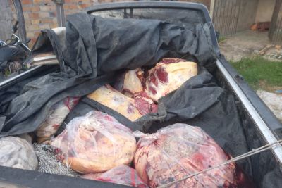 notícia: Fiscais da Adepará apreendem quase uma tonelada de carne imprópria em Mocajuba
